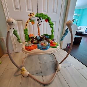 GUC Fisher Price Bouncer activity center